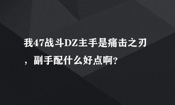 我47战斗DZ主手是痛击之刃，副手配什么好点啊？