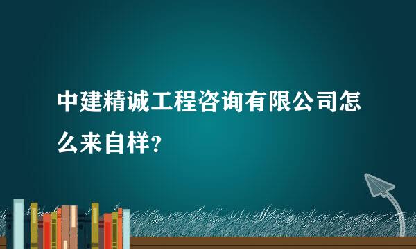 中建精诚工程咨询有限公司怎么来自样？