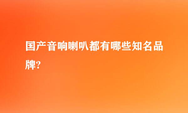 国产音响喇叭都有哪些知名品牌?