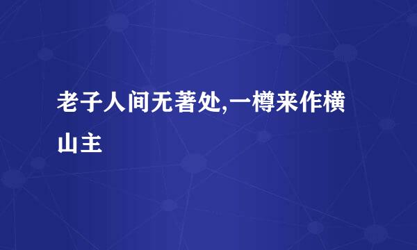 老子人间无著处,一樽来作横山主