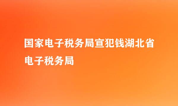 国家电子税务局宣犯钱湖北省电子税务局