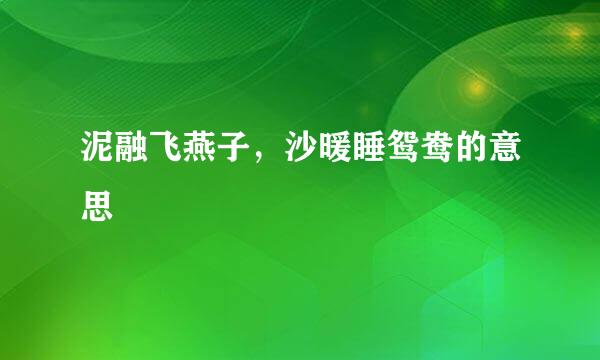 泥融飞燕子，沙暖睡鸳鸯的意思