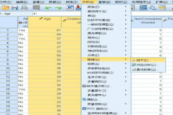 因子分来自析过程的步骤