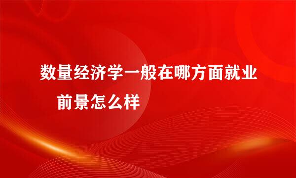 数量经济学一般在哪方面就业 前景怎么样