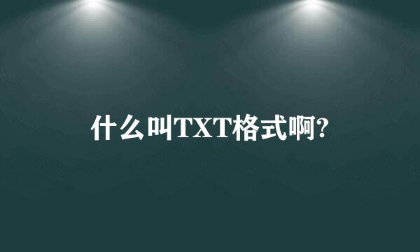 什么叫TXT格式啊?