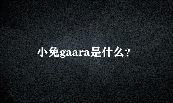 小兔gaara是什么？