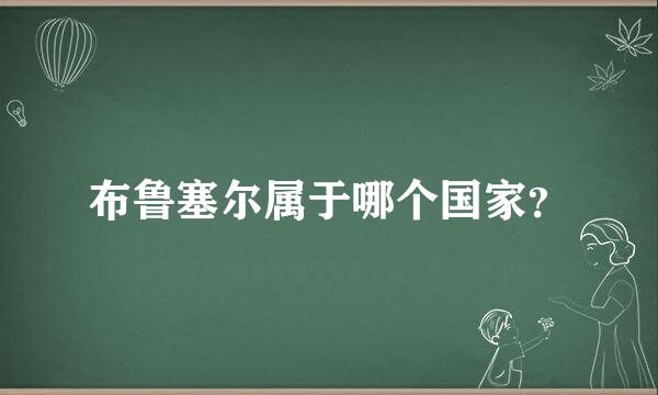 布鲁塞尔属于哪个国家？