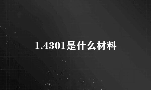 1.4301是什么材料