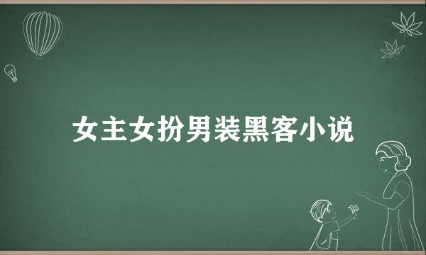 女主女扮男装黑客小说