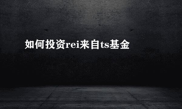 如何投资rei来自ts基金