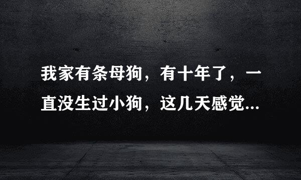 我家有条母狗，有十年了，一直没生过小狗，这几天感觉狗狗好像来月经了，渣渣下面青色的，用手一按是硬的