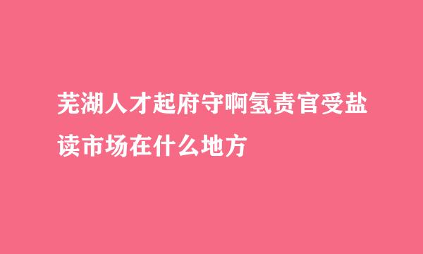 芜湖人才起府守啊氢责官受盐读市场在什么地方