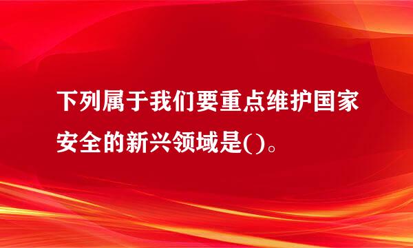 下列属于我们要重点维护国家安全的新兴领域是()。