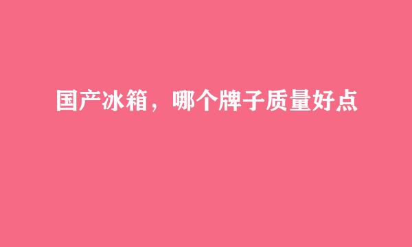 国产冰箱，哪个牌子质量好点