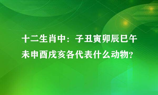 十二生肖中：子丑寅卯辰巳午未申酉戌亥各代表什么动物？