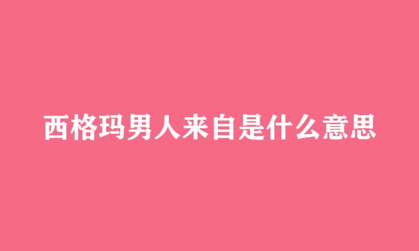 西格玛男人来自是什么意思