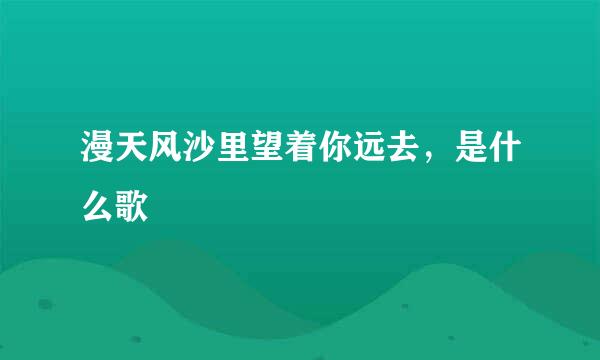 漫天风沙里望着你远去，是什么歌