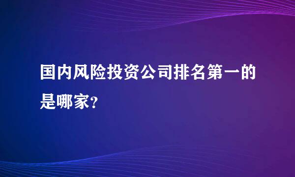 国内风险投资公司排名第一的是哪家？