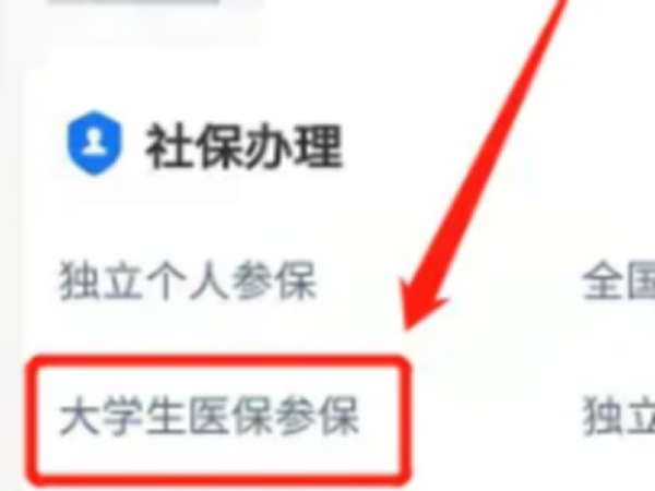 大学生医保来自怎么交