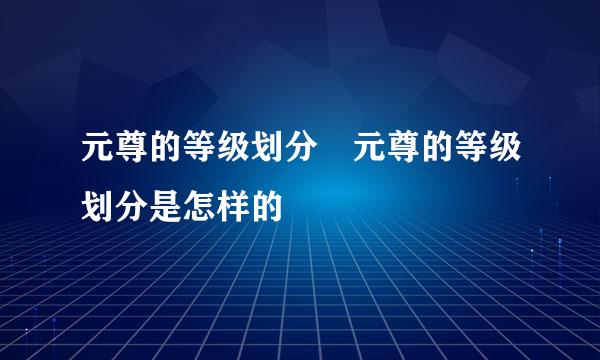 元尊的等级划分 元尊的等级划分是怎样的