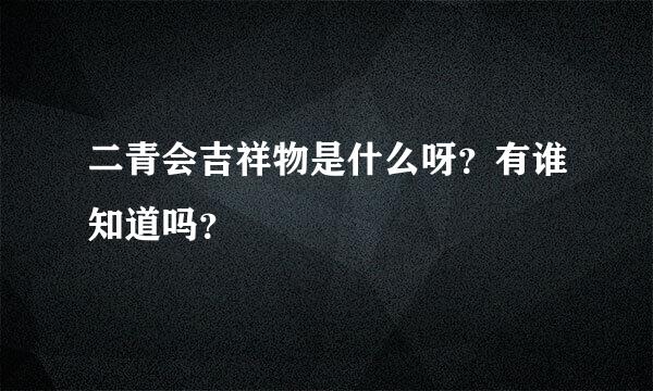 二青会吉祥物是什么呀？有谁知道吗？