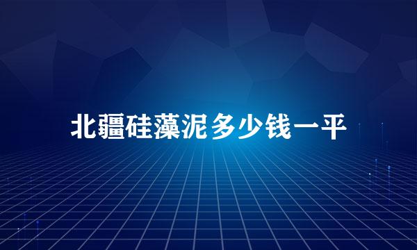 北疆硅藻泥多少钱一平