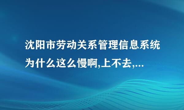 沈阳市劳动关系管理信息系统为什么这么慢啊,上不去,上去一会就掉,什么网站啊,折磨人呢啊