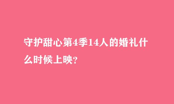 守护甜心第4季14人的婚礼什么时候上映？