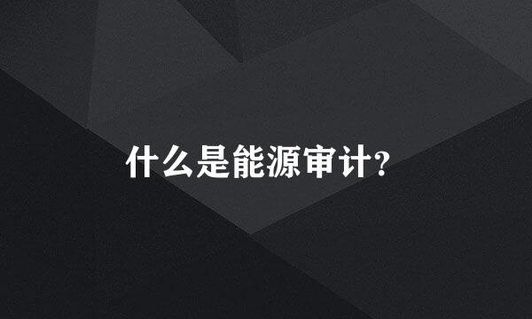 什么是能源审计？