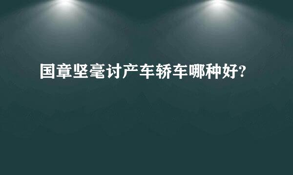 国章坚毫讨产车轿车哪种好?