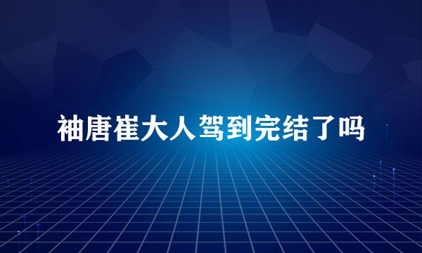 袖唐崔大人驾到完结了吗