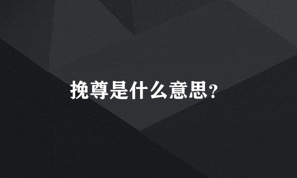 挽尊是什么意思？