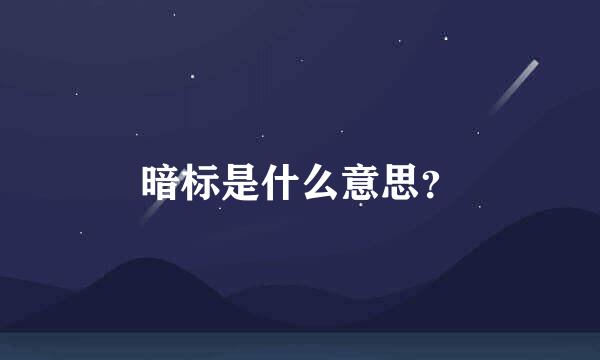 暗标是什么意思？