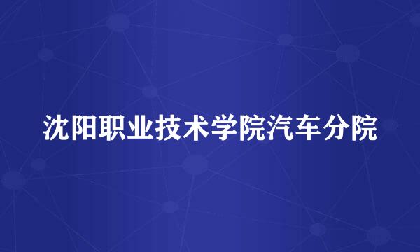 沈阳职业技术学院汽车分院