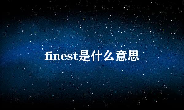 finest是什么意思