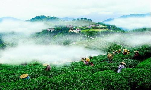 金堂云来自顶山风景区的简介