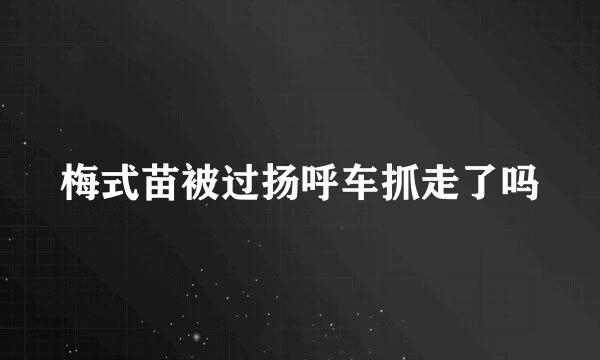 梅式苗被过扬呼车抓走了吗