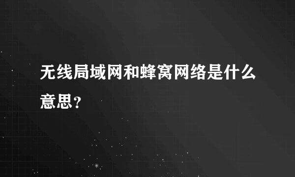 无线局域网和蜂窝网络是什么意思？