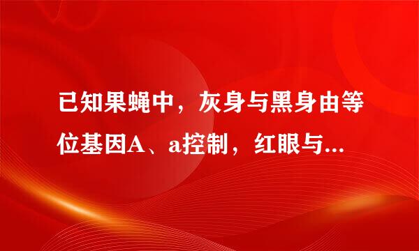 已知果蝇中，灰身与黑身由等位基因A、a控制，红眼与白眼由等位基因B、b控制。让灰身红眼雌果蝇与黑身白眼雄