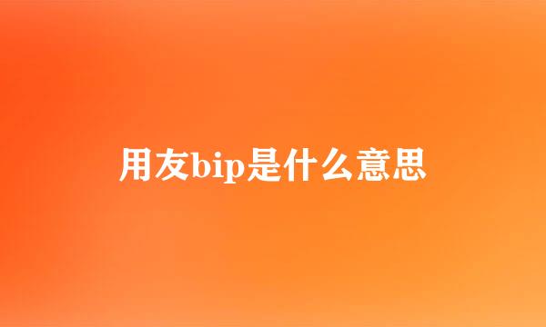 用友bip是什么意思