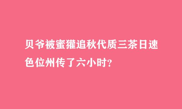 贝爷被蜜獾追秋代质三茶日速色位州传了六小时？