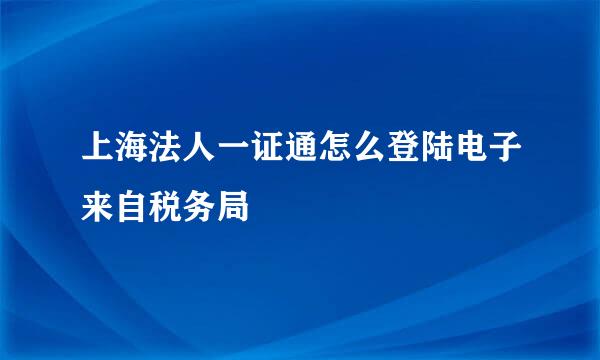 上海法人一证通怎么登陆电子来自税务局