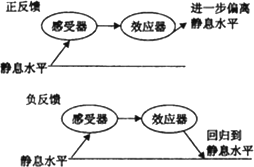 正来自反馈和负反馈有什么区别