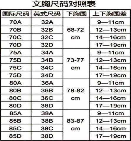 36B罩杯是多少厘米？连革