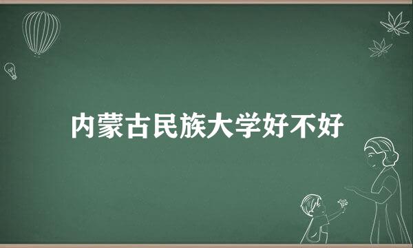 内蒙古民族大学好不好