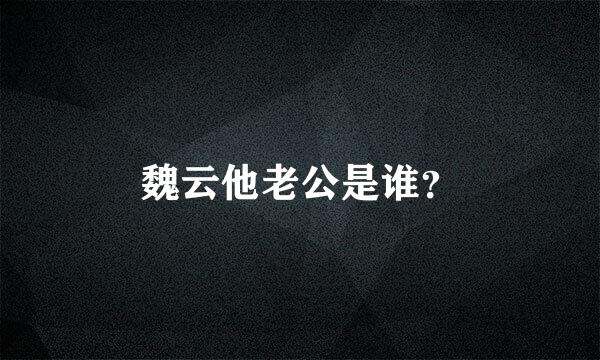 魏云他老公是谁？