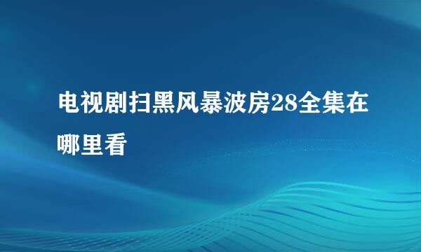 电视剧扫黑风暴波房28全集在哪里看