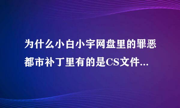 为什么小白小宇网盘里的罪恶都市补丁里有的是CS文件(已解压)，比如车内视角