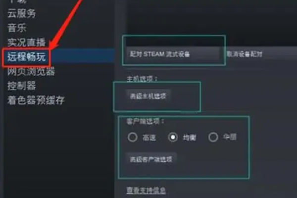 steamlink怎么用