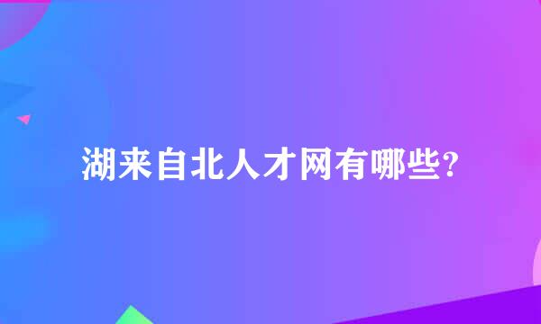 湖来自北人才网有哪些?